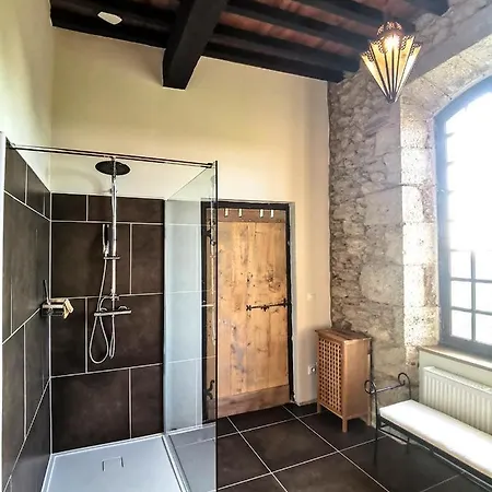 Chateau D'esplavis Bed & Breakfast Eauze