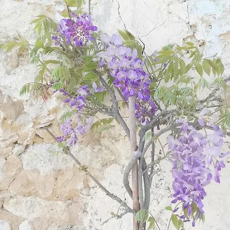 Bed & Breakfast Chateau D'esplavis