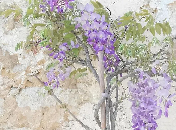 Bed & Breakfast Chateau D'esplavis